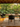 Cadeira Charlotte em tecido ou courino sintético PU Preto #cor_preto