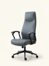 Cinza