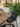 Cadeira Buzios em polipropileno resistente Preto #cor_preto