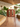 Cadeira Maui em polipropileno resistente Terracota #cor_terracota