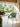 Cadeira Tulum em polipropileno resistente Verde #cor_verde