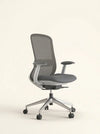 Cinza